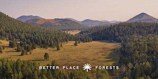 Imagem principal do evento Better Place Forests Flagstaff Memorial Forest Open House