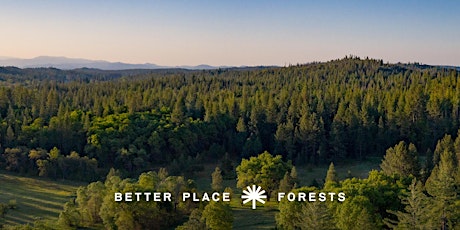 Better Place Forests Yosemite Gateway Memorial Forest Open House