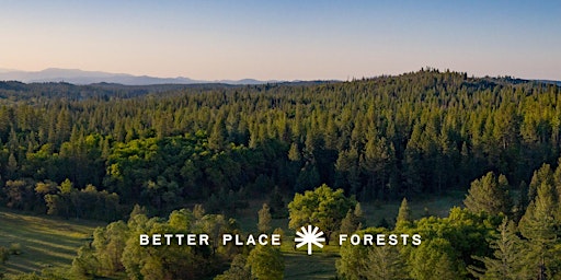 Imagem principal do evento Better Place Forests Yosemite Gateway Memorial Forest Open House
