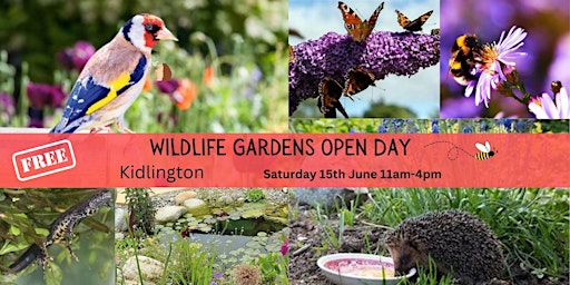 Wildlife-Friendly Gardens Open Day  primärbild