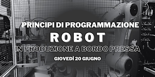 Primaire afbeelding van PRINCIPI DI PROGRAMMAZIONE ROBOT A BORDO PRESSA