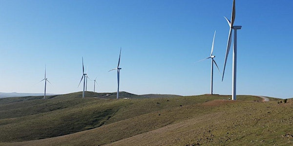 Willogoleche Wind Farm Bus Tours
