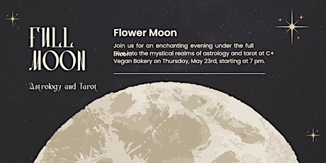 Full Moon Astrology and Tarot Night