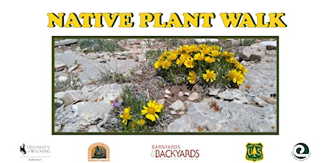 Hauptbild für Native Plant Identification Walk