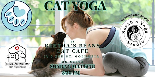 Imagem principal do evento Cat Yoga at Bertha's Beans with Sarah's Yoga Studio