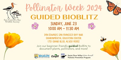 Imagem principal do evento Guided BioBlitz for Polllinator Week 2024