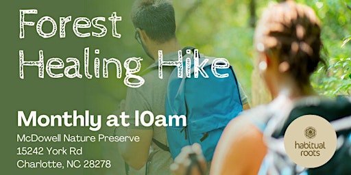 Forest Healing Hike