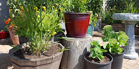 Small is Beautiful: Learn to Grow Food in Small Spaces