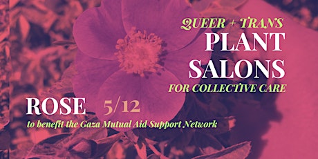 Queer and Trans Plant Salon- A Benefit for Mutual Aid