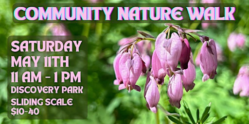 Community Nature Walk with Acknowledge Wellness and Energetic Ecology primary image
