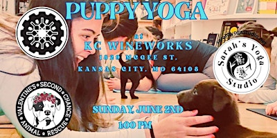 Image principale de Puppy Yoga at KC Wineworks with Sarah's Yoga Studio