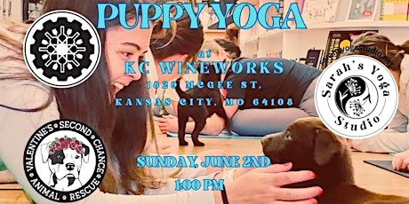 Puppy Yoga at KC Wineworks with Sarah's Yoga Studio