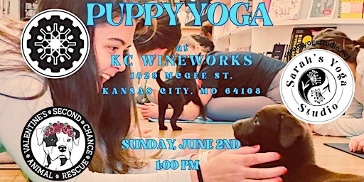 Imagem principal do evento Puppy Yoga at KC Wineworks with Sarah's Yoga Studio