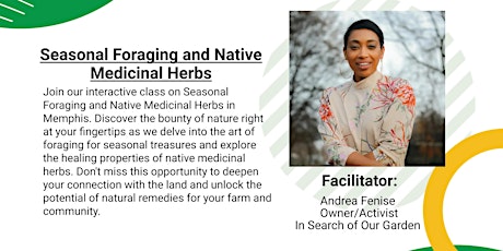 Masterclass: Seasonal Foraging and Native Medicinal Herbs