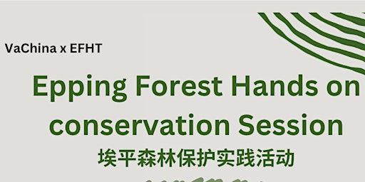 Epping Forest Hands on conservation Session 埃平森林保护实践活动 primary image