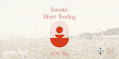 Primaire afbeelding van Introduction to somatic heart tending