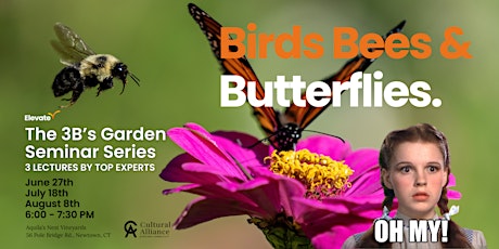 Birds, Bees, and Butterflies Oh My! The 3Bs Garden Series. primary image