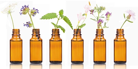 Balancing the Emotional Body with Bach Flower Remedies