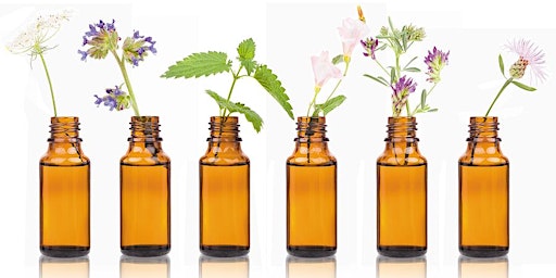 Balancing the Emotional Body with Bach Flower Remedies primary image