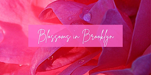 Image principale de Blossoms In Brooklyn