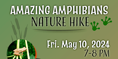 Amazing Amphibians Nature Hike