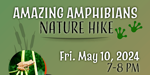Imagem principal do evento Amazing Amphibians Nature Hike