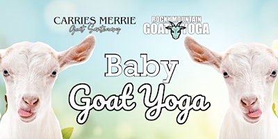 Imagem principal de Baby Goat Yoga - June  16th (CARRIES MERRIE GOAT SANCTUARY)