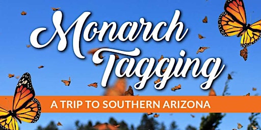 Hauptbild für Monarch Tagging Workshop in Southern Arizona (Butterfly Wonderland)