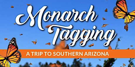 Monarch Tagging Workshop in Southern Arizona (Butterfly Wonderland)