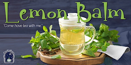 Herbal Tea Tasting in the Garden: Lemon Balm