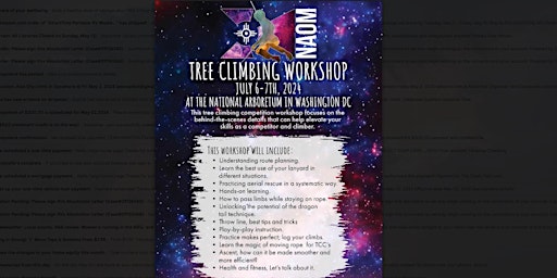 Imagem principal do evento Tree Climbing Workshop