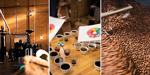Primaire afbeelding van Coffee 101: Seed to Cup