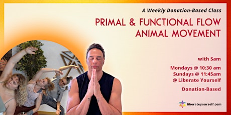 Primal and Functional Flow: Animal Movement