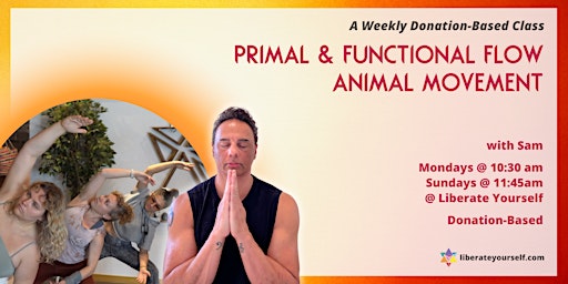 Primal and Functional Flow: Animal Movement primary image