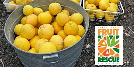 Imagem principal do evento Contra Costa Fruit Rescue - Lamorinda Area