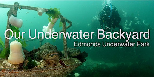Hauptbild für Edmonds Author & Speaker Series presents "Our Underwater Backyard"