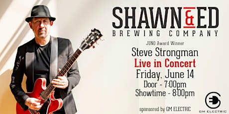 STEVE STRONGMAN - Live in Concert!
