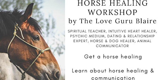 Horse Healing Workshop with The Love Guru Blaire  primärbild