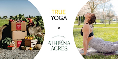 Summer Series: Outdoor Yoga at Athiana Acres
