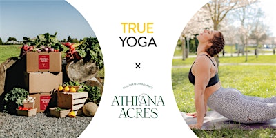 Image principale de Summer Series: Outdoor Yoga at Athiana Acres