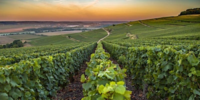 Imagem principal do evento WINE TASTNG | Exploring French Wines