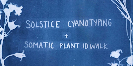 Solstice Cyanotype with Somatic Plant ID Walk primary image