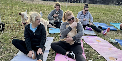 Hauptbild für Goat Yoga KC in Bonner Springs