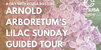 Imagem principal do evento Discover with ECUSA: Lilac Sunday Tour at the Arnold Arboretum