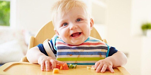 Empower Your Baby's Journey into Solid Foods - Join My Online Workshop primary image