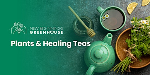 Imagem principal do evento Plants & Healing Teas