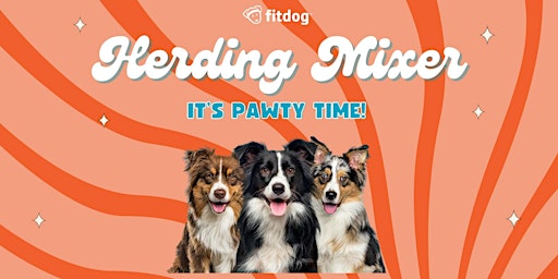 Herding Dog Mixer at Fitdog primary image