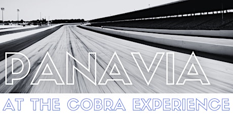 PANAVIA at the Cobra Experience with Steve Wood
