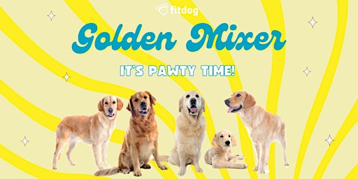 Imagen principal de Golden Retriever Mixer at Fitdog