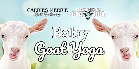 Baby Goat Yoga - July  27th (CARRIES MERRIE GOAT SANCTUARY)